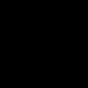 Meet your Posher, Nikolai